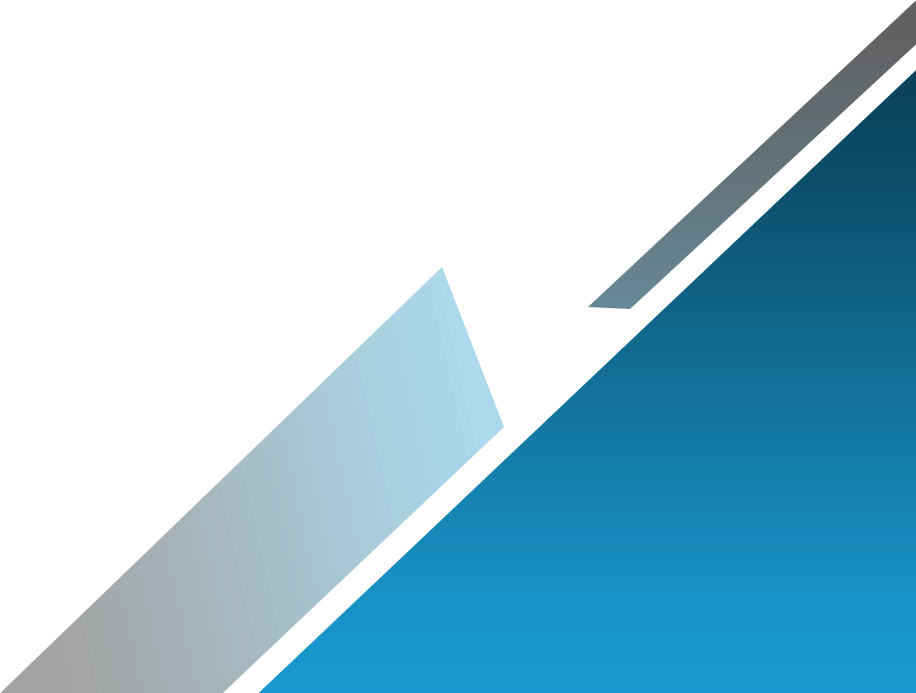 Bradji Medtrans Global